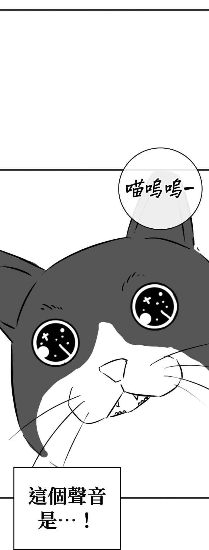 《现实闯关》特别篇：猫咪的语言 第26页