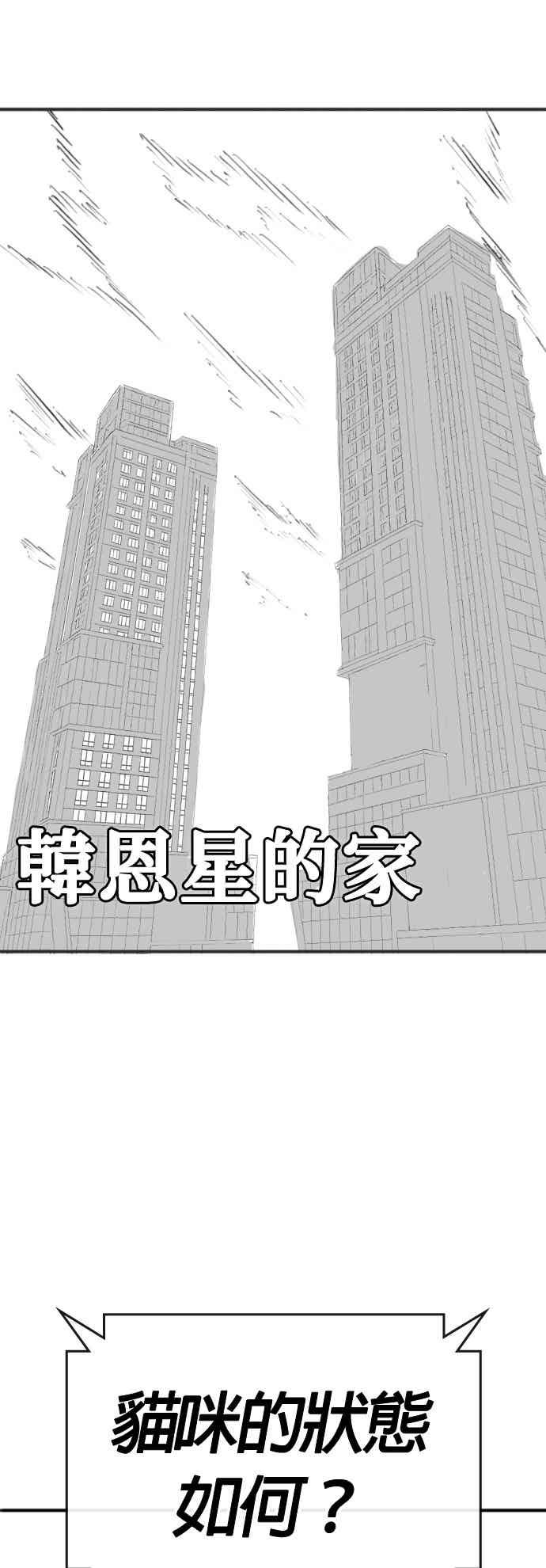 《现实闯关》特别篇：猫咪的语言 第2页