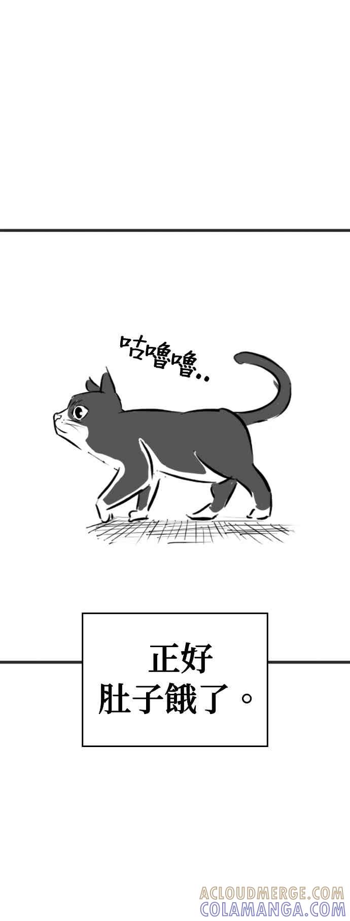 《现实闯关》特别篇：猫咪的语言 第13页