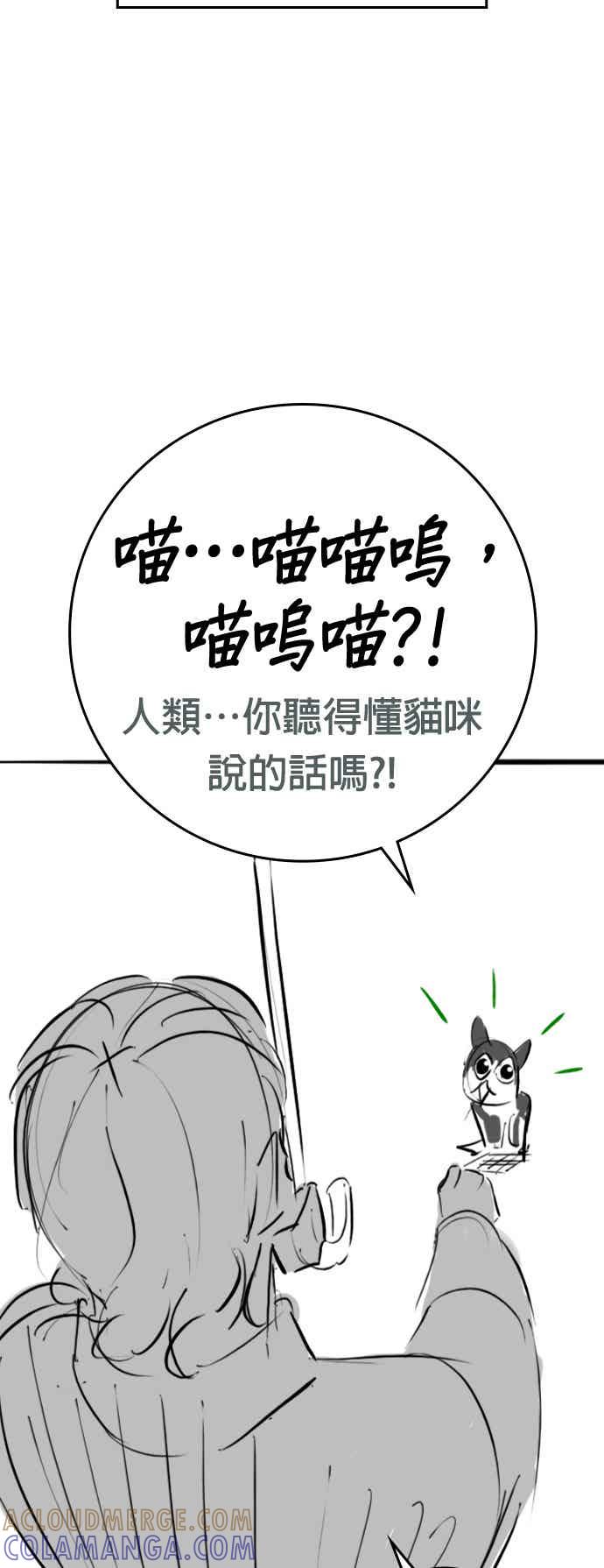 《现实闯关》特别篇：猫咪的语言 第58页