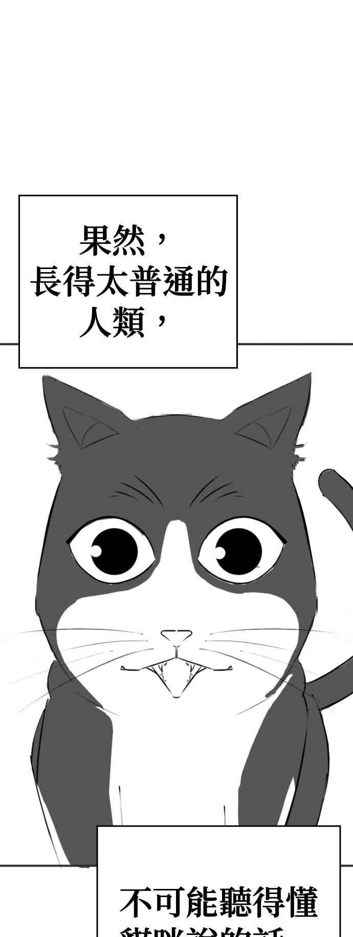 《现实闯关》特别篇：猫咪的语言 第35页