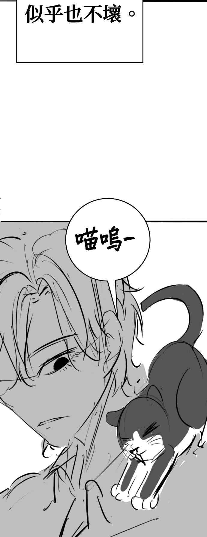 《现实闯关》特别篇：猫咪的语言 第62页