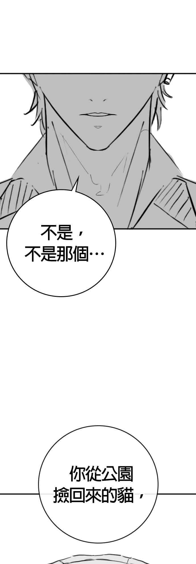 《现实闯关》特别篇：猫咪的语言 第6页