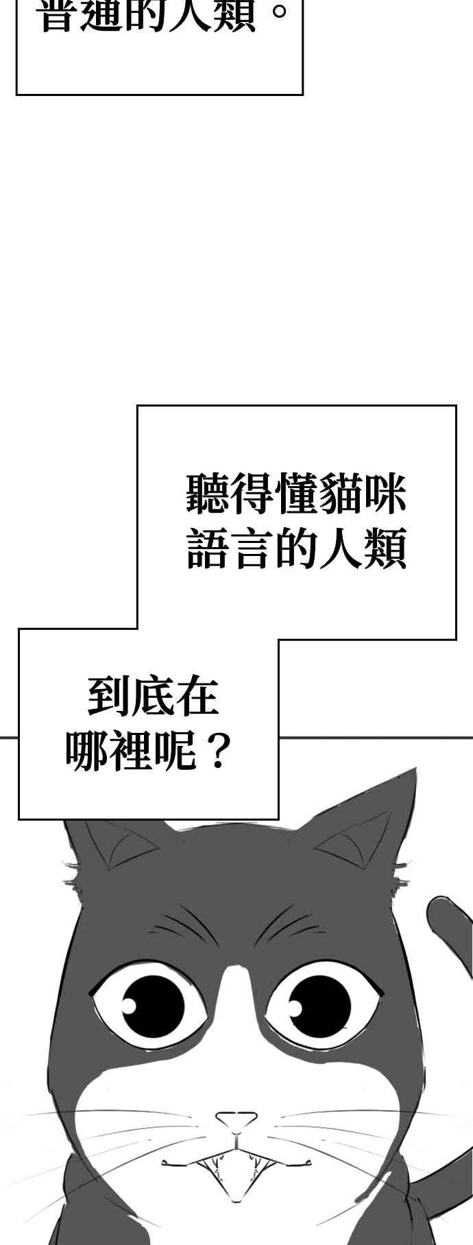 《现实闯关》特别篇：猫咪的语言 第24页