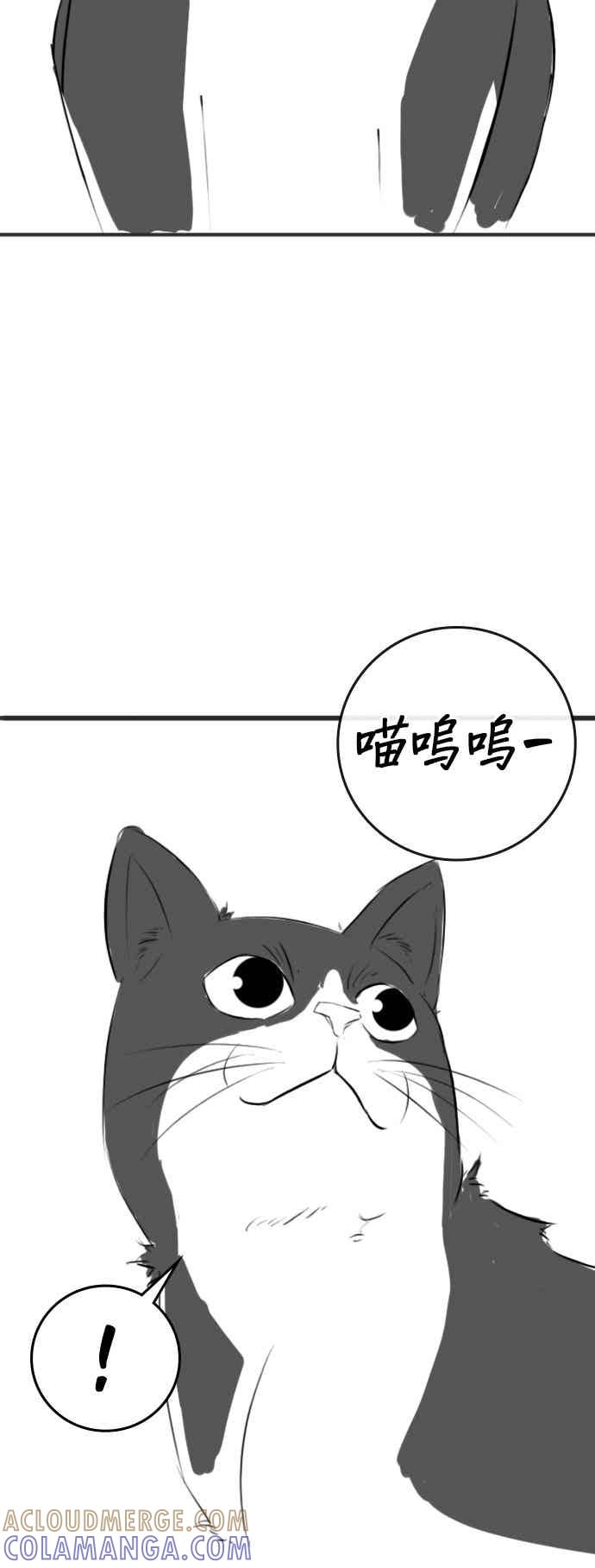 《现实闯关》特别篇：猫咪的语言 第25页