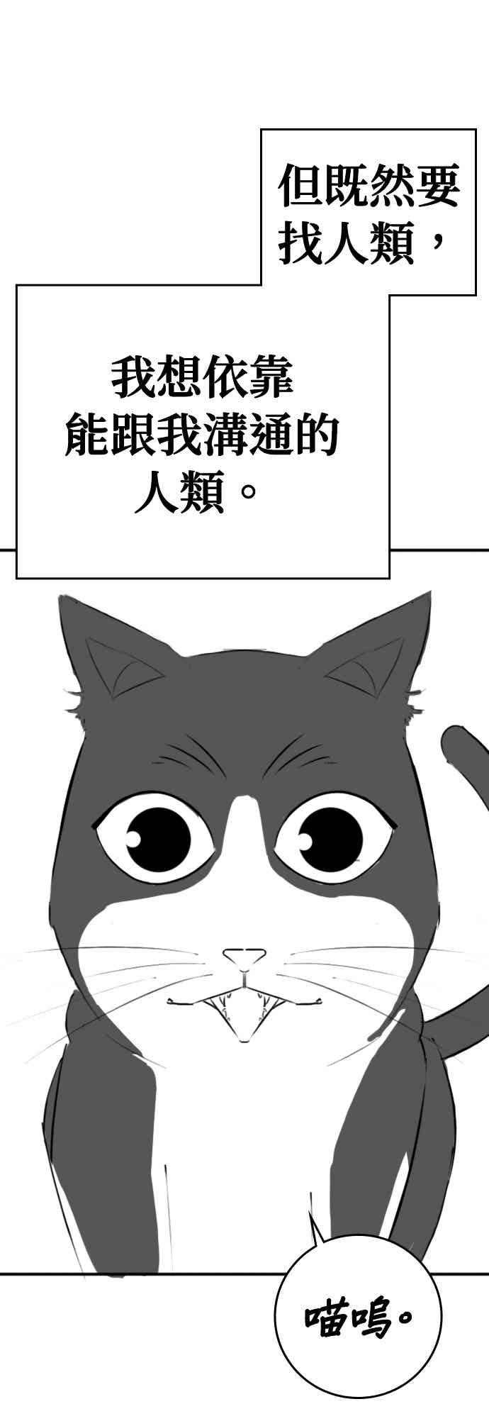 《现实闯关》特别篇：猫咪的语言 第12页