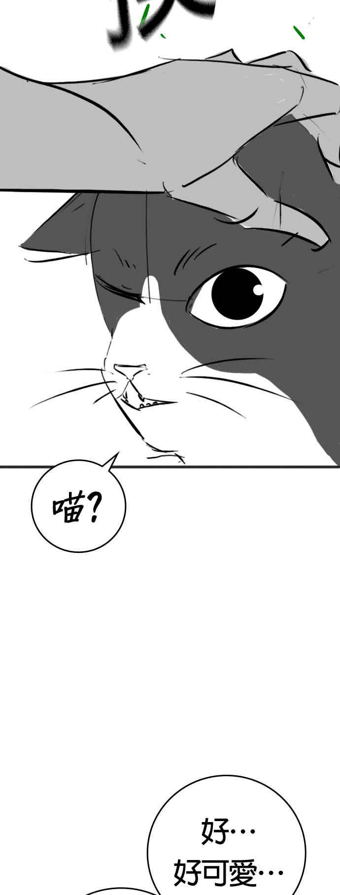《现实闯关》特别篇：猫咪的语言 第21页