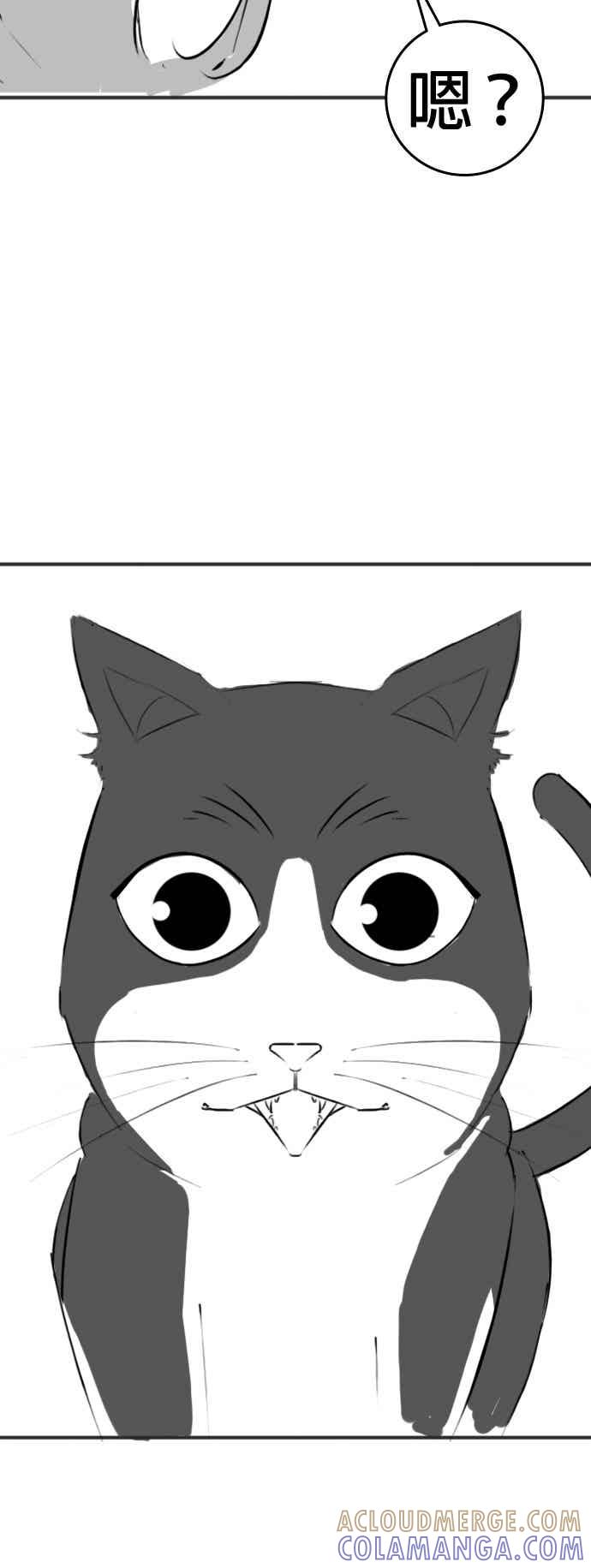 《现实闯关》特别篇：猫咪的语言 第31页