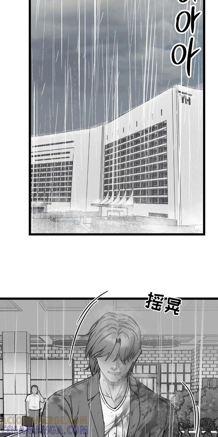 《浴火重生》第44章：全都杀了 第19页