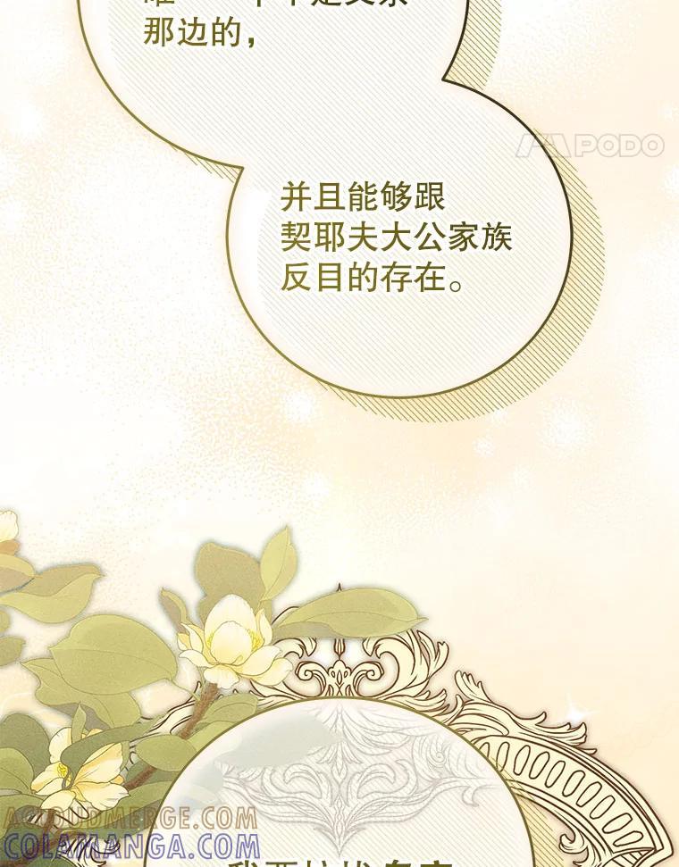 《成为被诅咒的公爵家的女主人》53.解毒 第85页