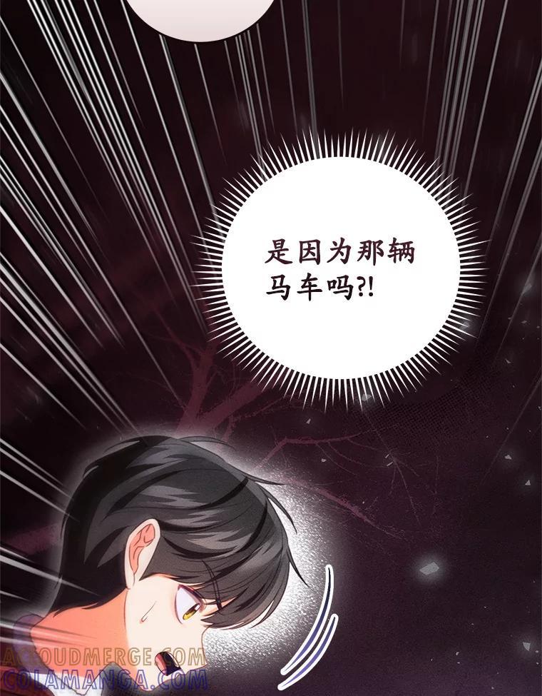 《成为被诅咒的公爵家的女主人》54.诡异马车 第85页