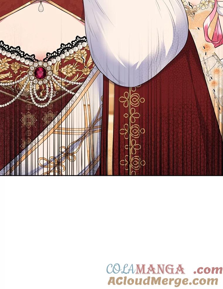 《我要和女主的妹控哥哥离婚》47.皇子泰伦斯 第117页