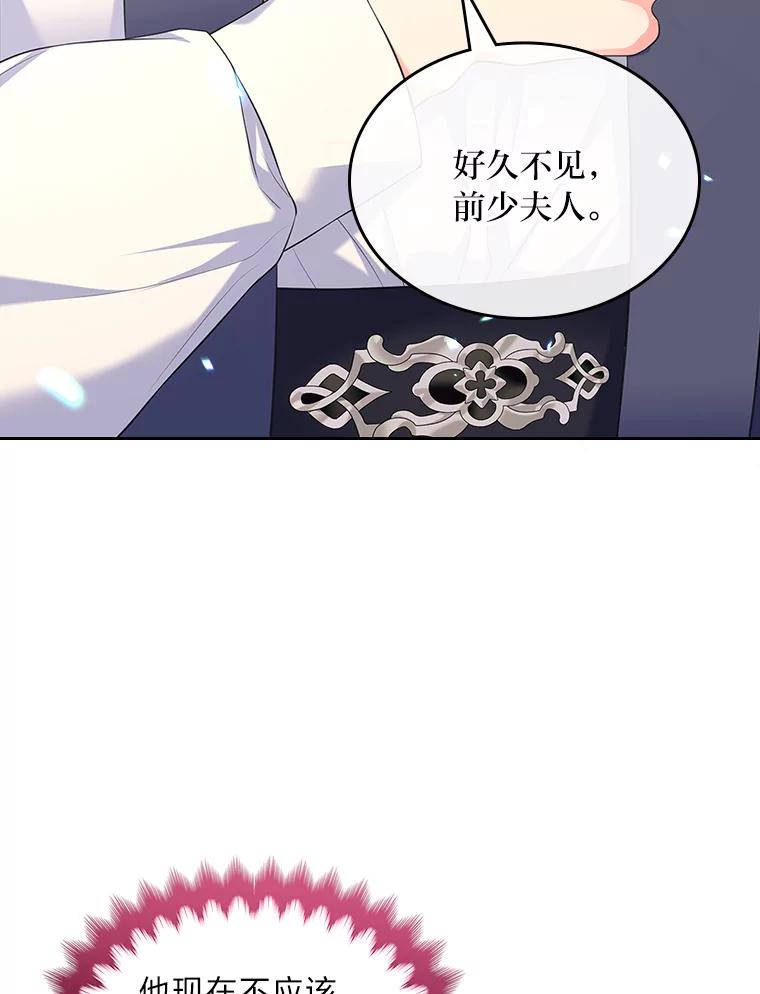 《我要和女主的妹控哥哥离婚》51.傲慢的谋士 第78页