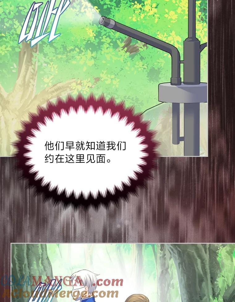 《我要和女主的妹控哥哥离婚》51.傲慢的谋士 第65页