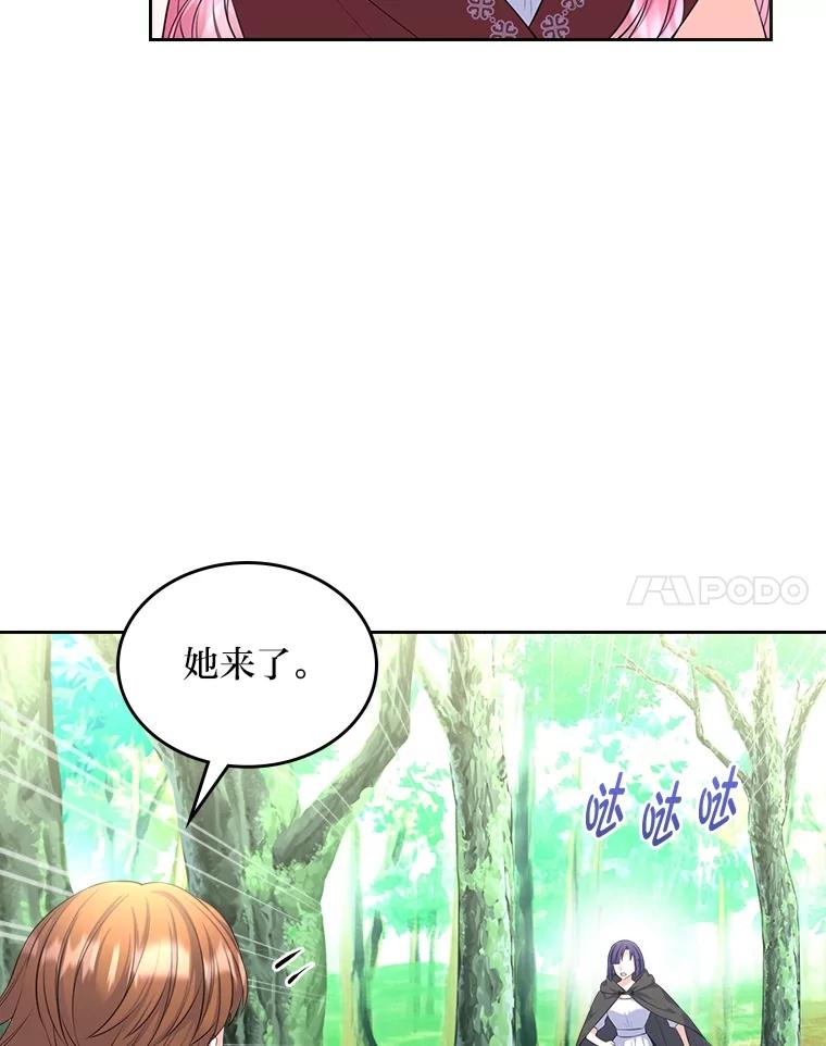 《我要和女主的妹控哥哥离婚》51.傲慢的谋士 第36页