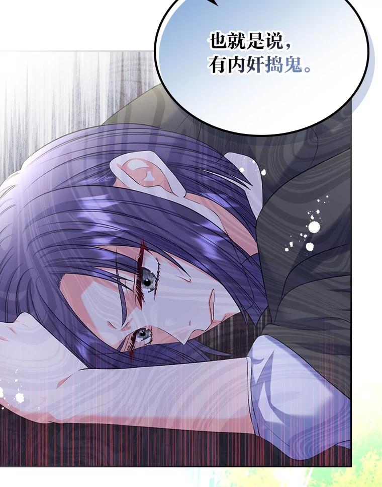 《我要和女主的妹控哥哥离婚》51.傲慢的谋士 第115页