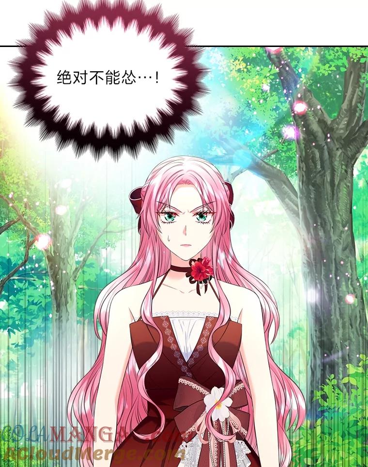 《我要和女主的妹控哥哥离婚》51.傲慢的谋士 第97页