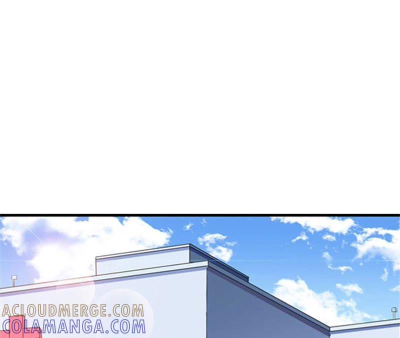 《误入婚途：叛逆娇妻不好惹》见面车祸 第61页
