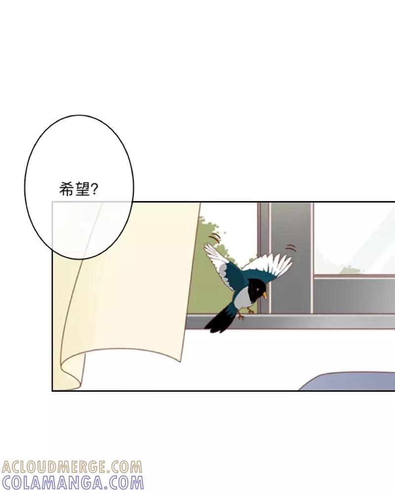 《学校有鬼》第44话 言希，你喜欢他 第27页