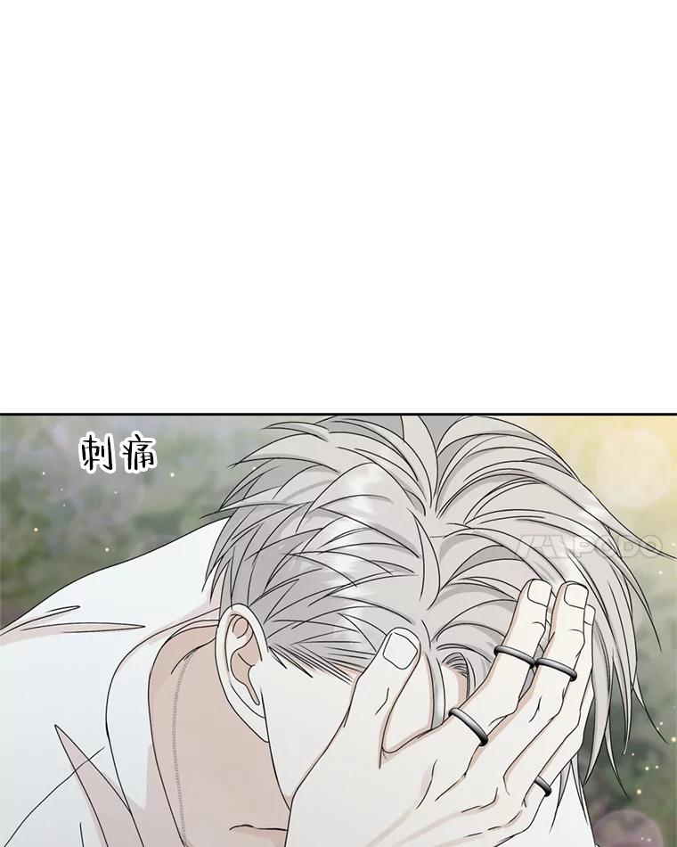 《替吸血鬼吃饭的我》59.一直隐藏的本能 第46页