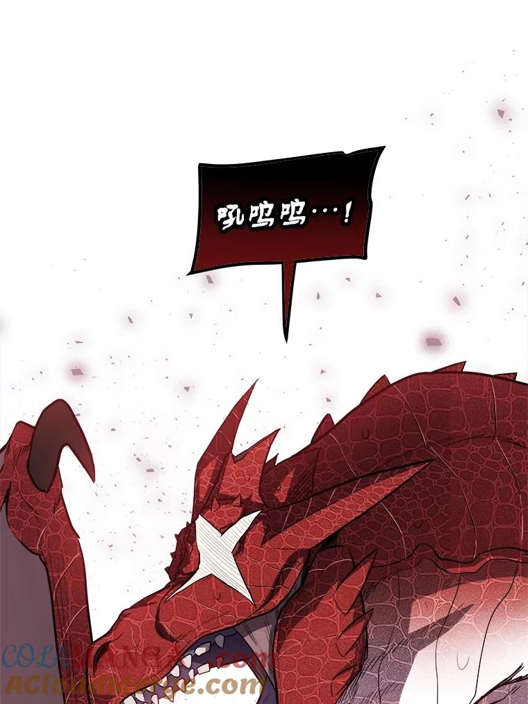 《被圣剑选择的少年》100.讨伐龙兽 第101页