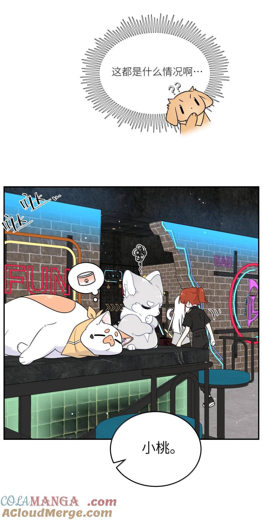我的食物看起来很可爱 203 猝不及防 第19页
