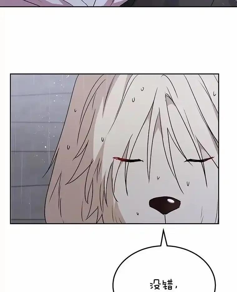 《你好？兽医先生！》59.我们回家吧 第115页