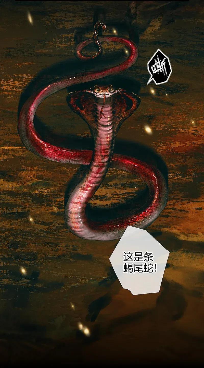 天官赐福 035 将军墓冢 贰 第13页