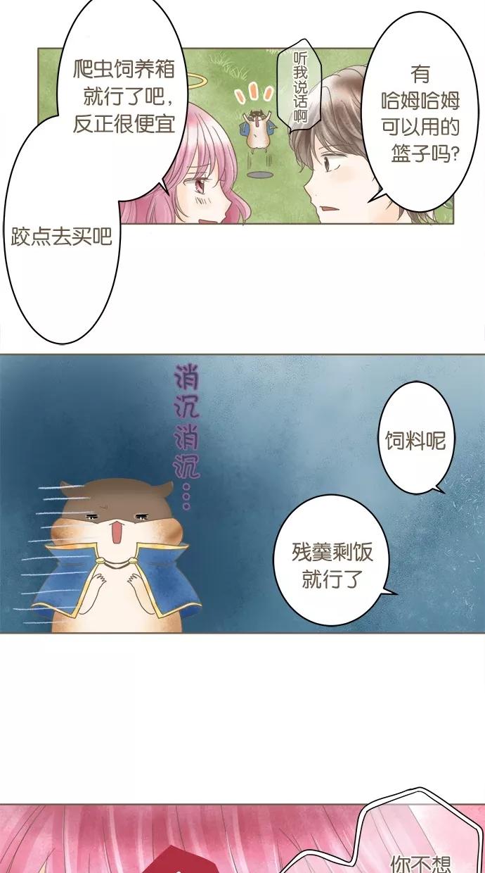 《天使之语》[第27话] 折翼的天使 第36页