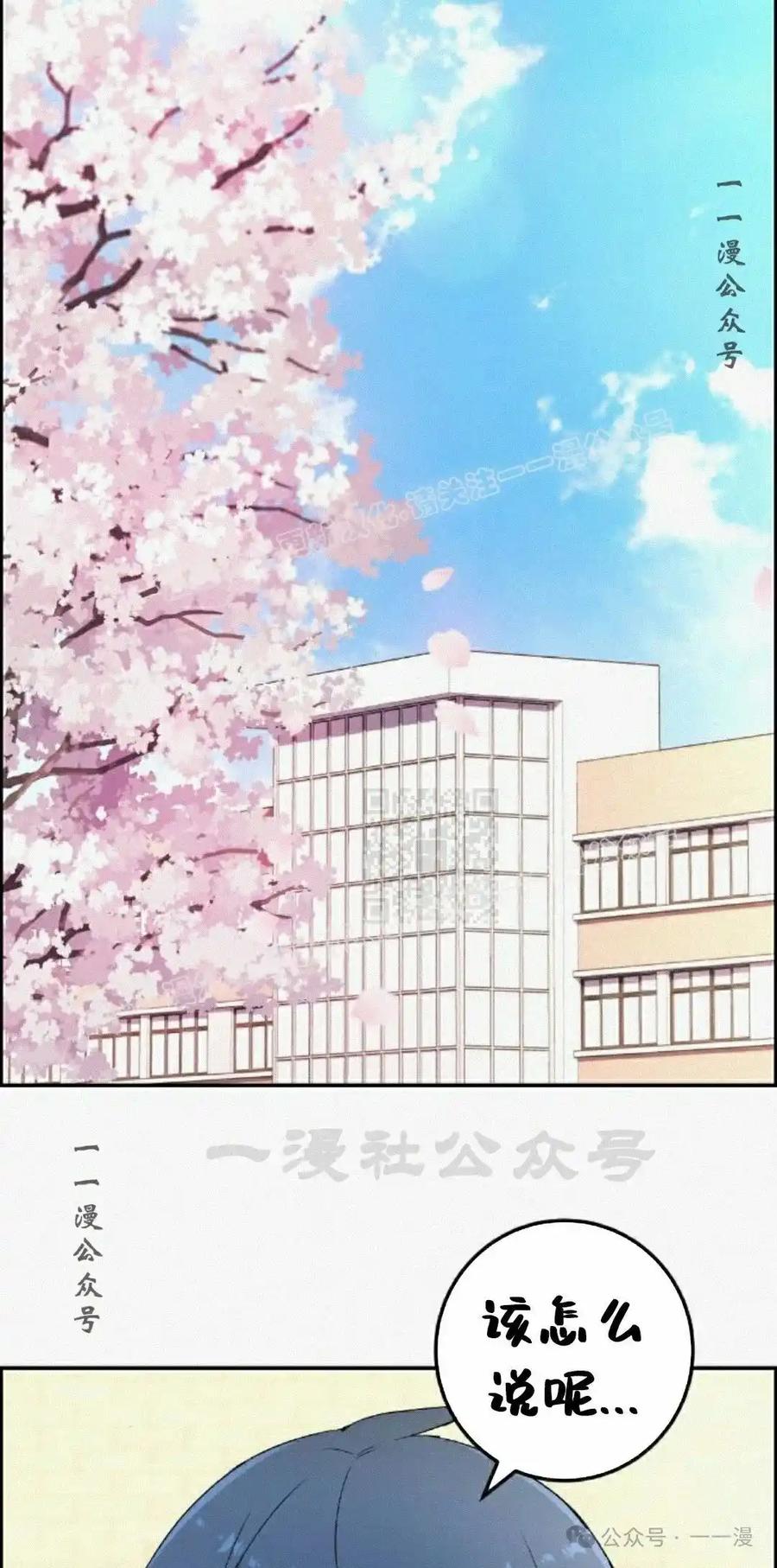 漫画里的罗康林 第171集 漏的补发 第27页