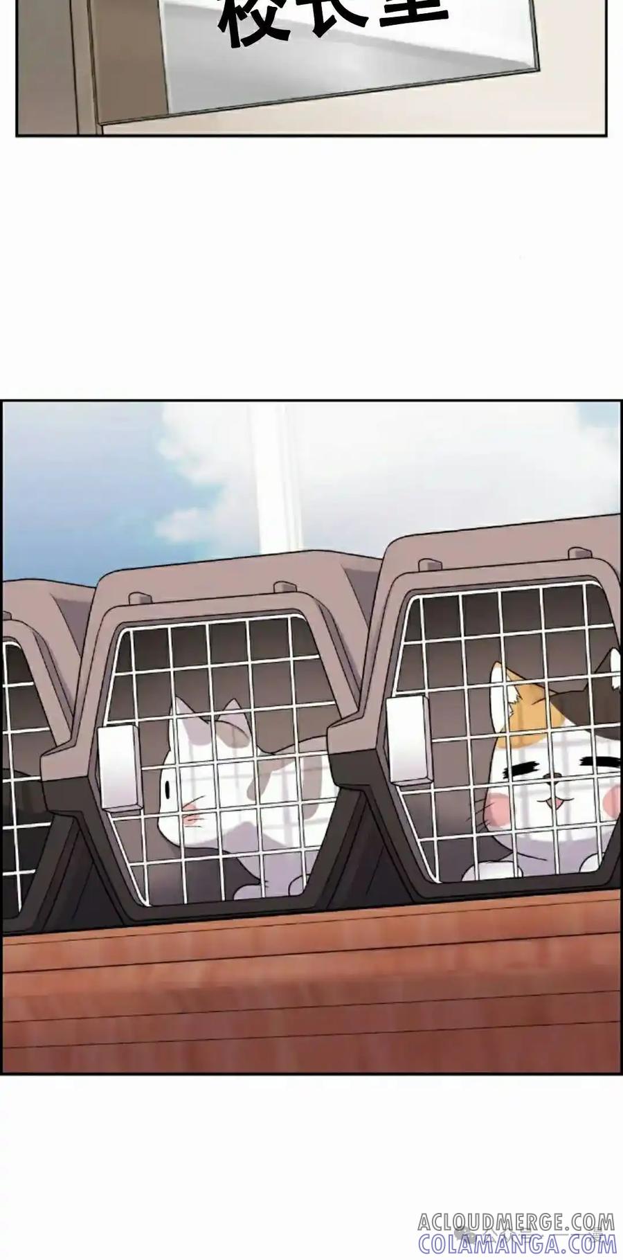漫画里的罗康林 第35集 第65页