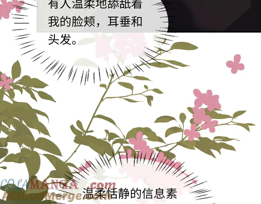 人鱼陷落 第145话 对不起 第64页