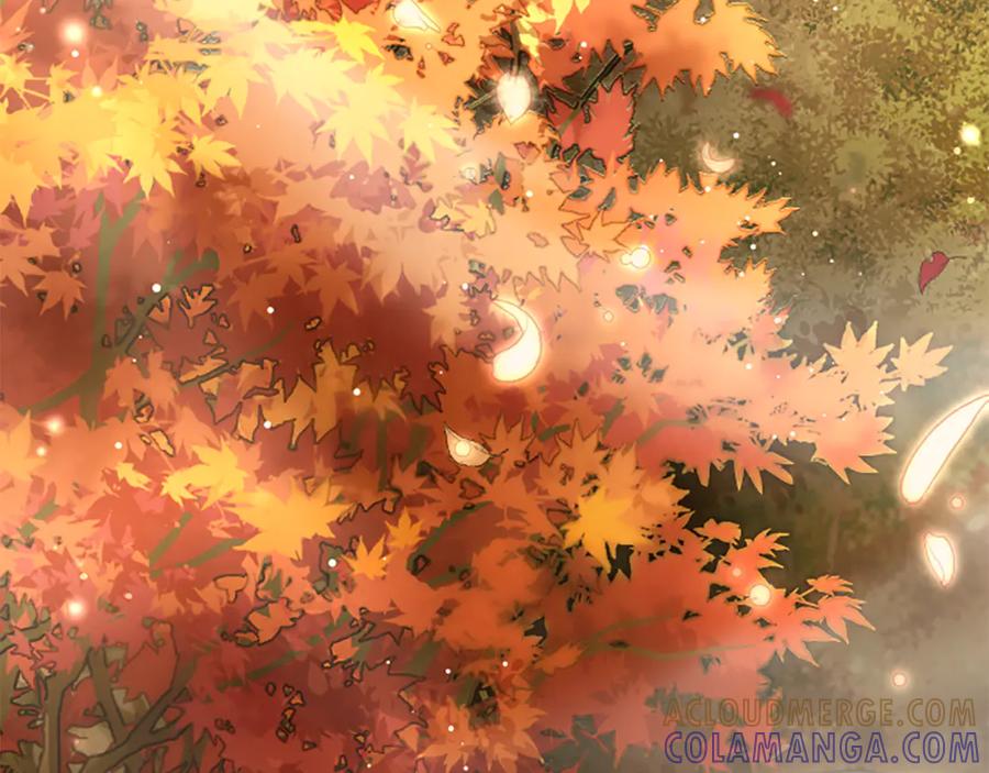 《凡菲尔德的秘密》第23话 温差 第5页