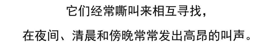 《胖达x胖达》第97话 第22页