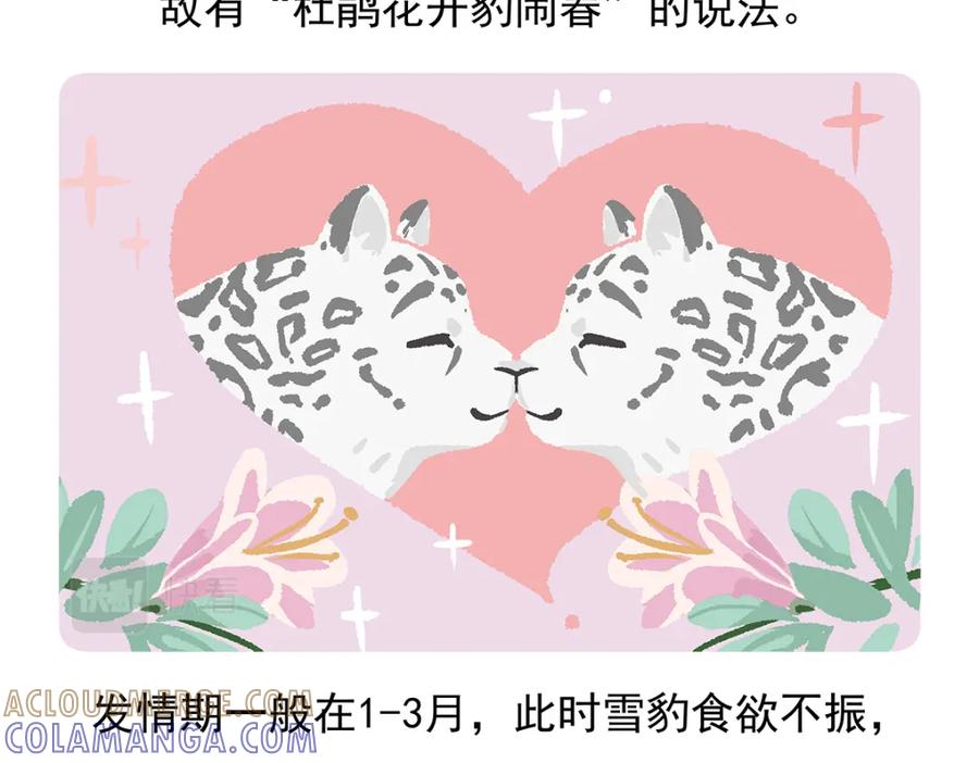 《胖达x胖达》第97话 第21页