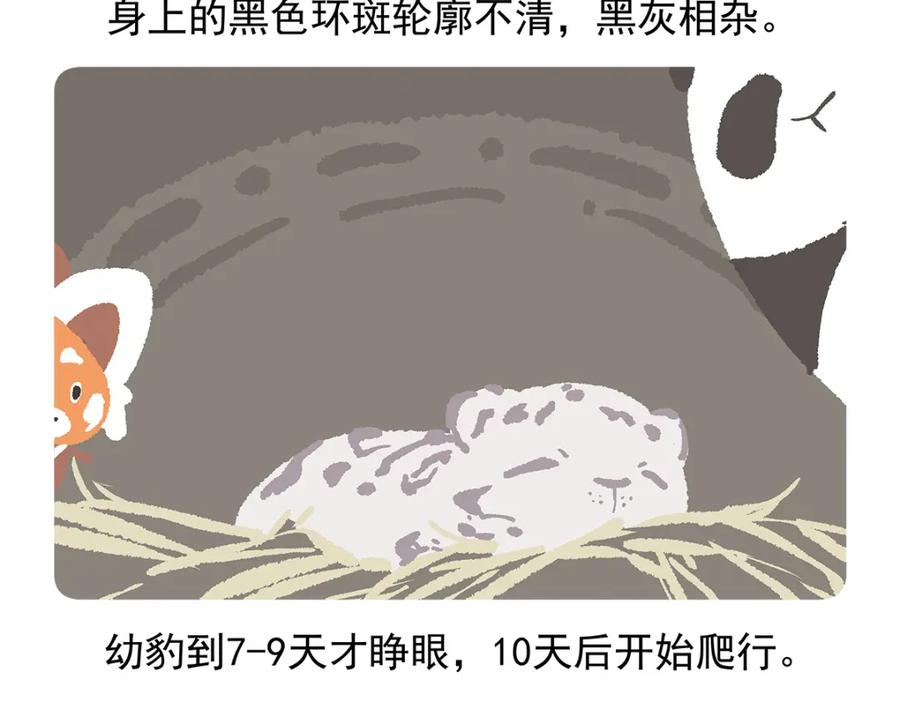 《胖达x胖达》第97话 第28页