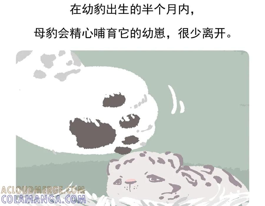《胖达x胖达》第97话 第29页