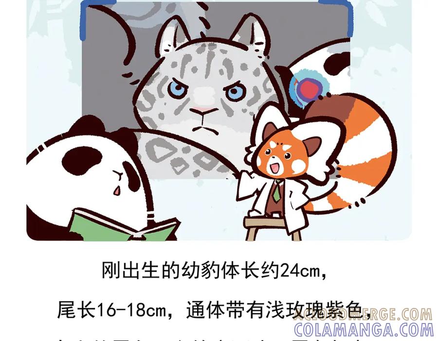 《胖达x胖达》第97话 第27页
