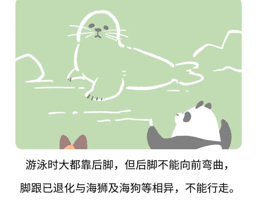 《胖达x胖达》第263话 第22页