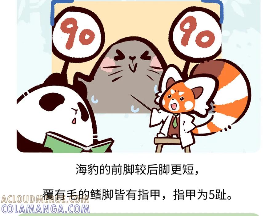 《胖达x胖达》第263话 第21页