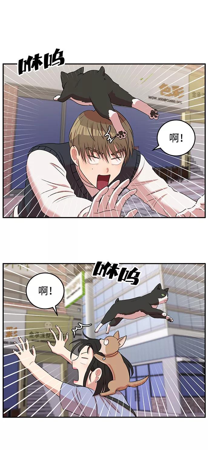 《要牵手吗？》第48话 第51页