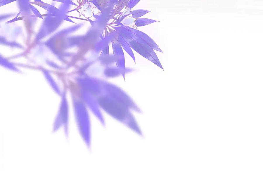 顾小姐和曲小姐 第108话 回来了 第116页