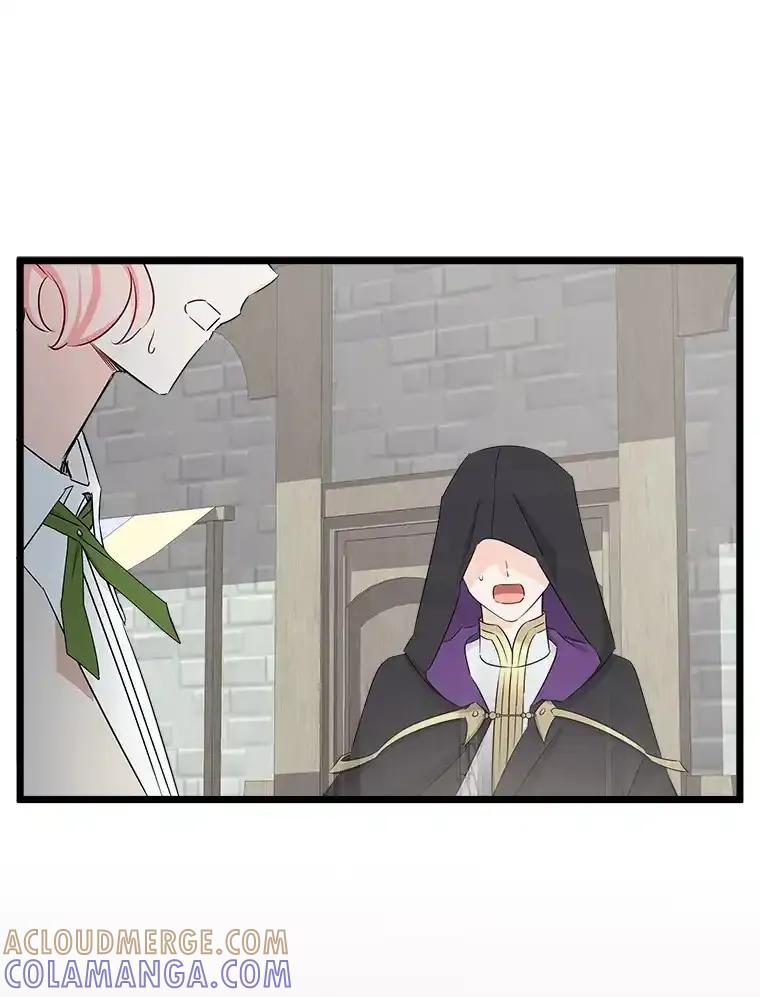 《女仆是悲惨结局收藏家》38.时光倒流 第145页