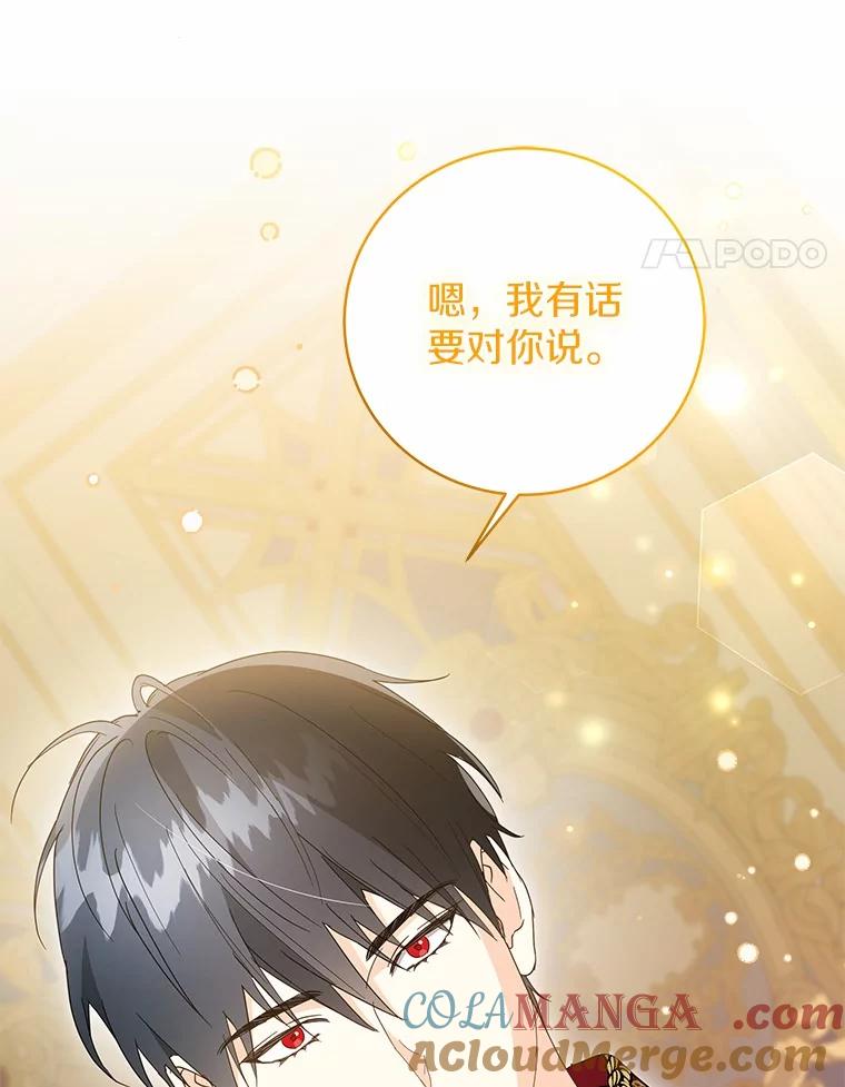 《我从没抛弃过陛下》39.特别的人 第34页