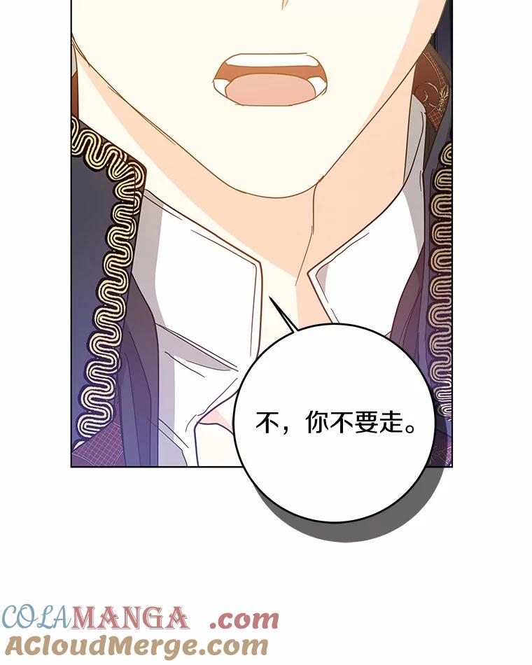 《我从没抛弃过陛下》40.挽留 第82页
