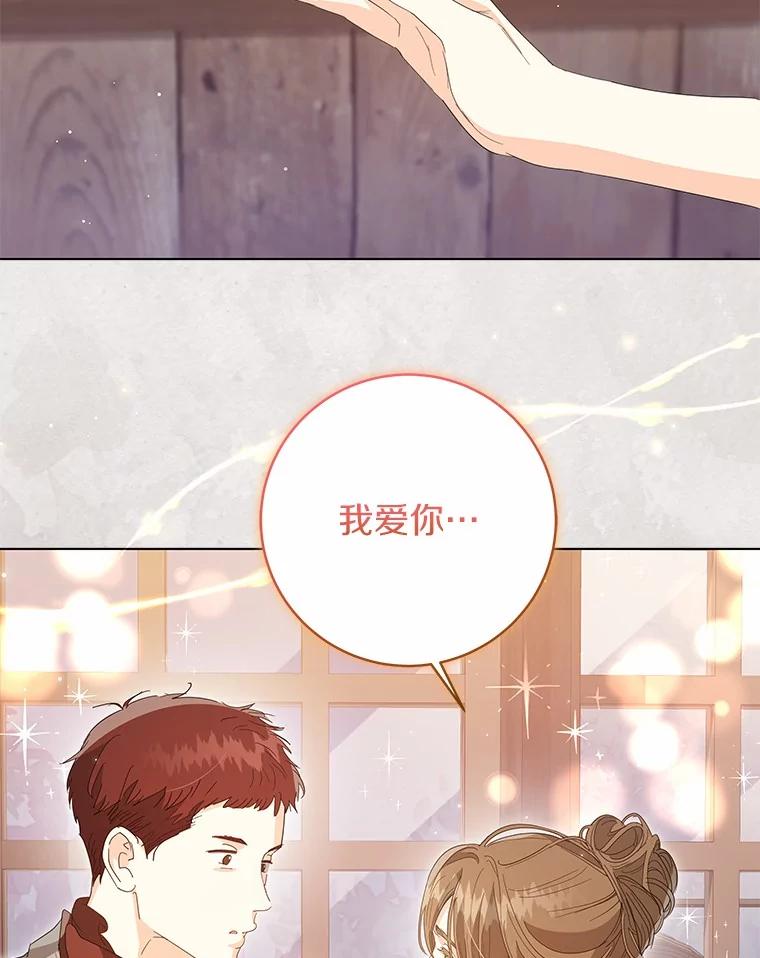 《我从没抛弃过陛下》40.挽留 第9页