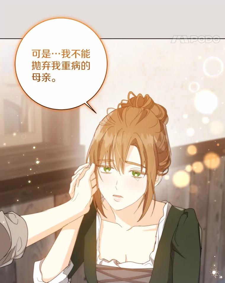 《我从没抛弃过陛下》40.挽留 第11页