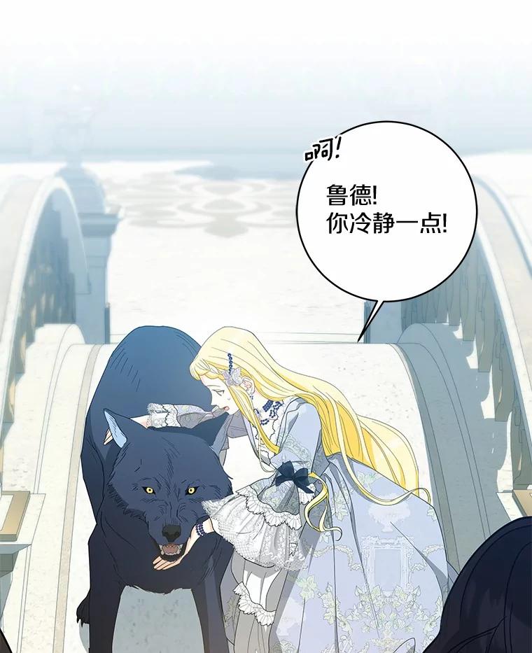 《我从没抛弃过陛下》46.试探 第56页