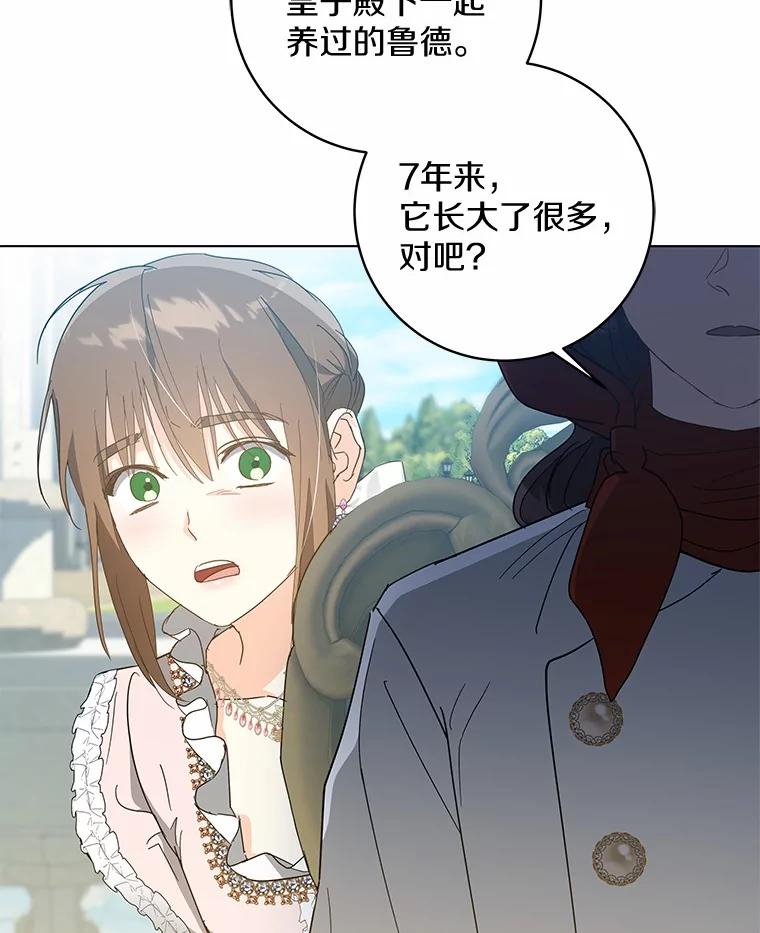《我从没抛弃过陛下》46.试探 第63页