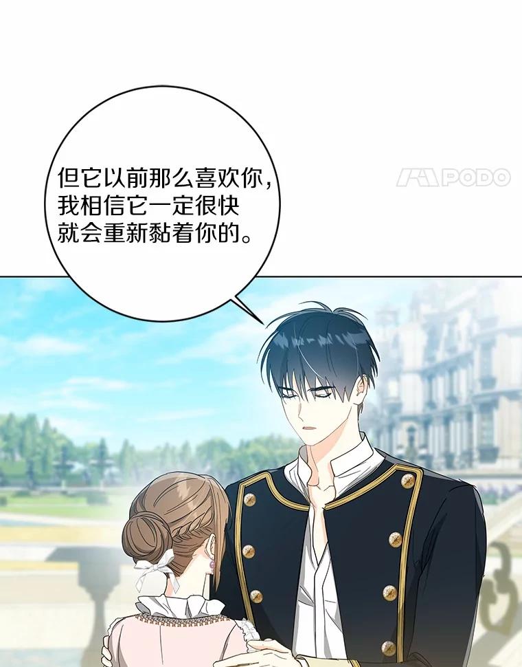 《我从没抛弃过陛下》46.试探 第84页